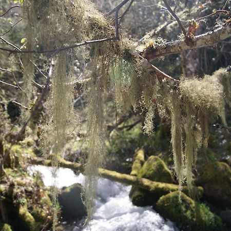 Casa Gelita ξενώνας Casayo Εξωτερικό φωτογραφία